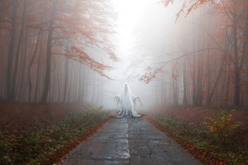 Enchanted Garden